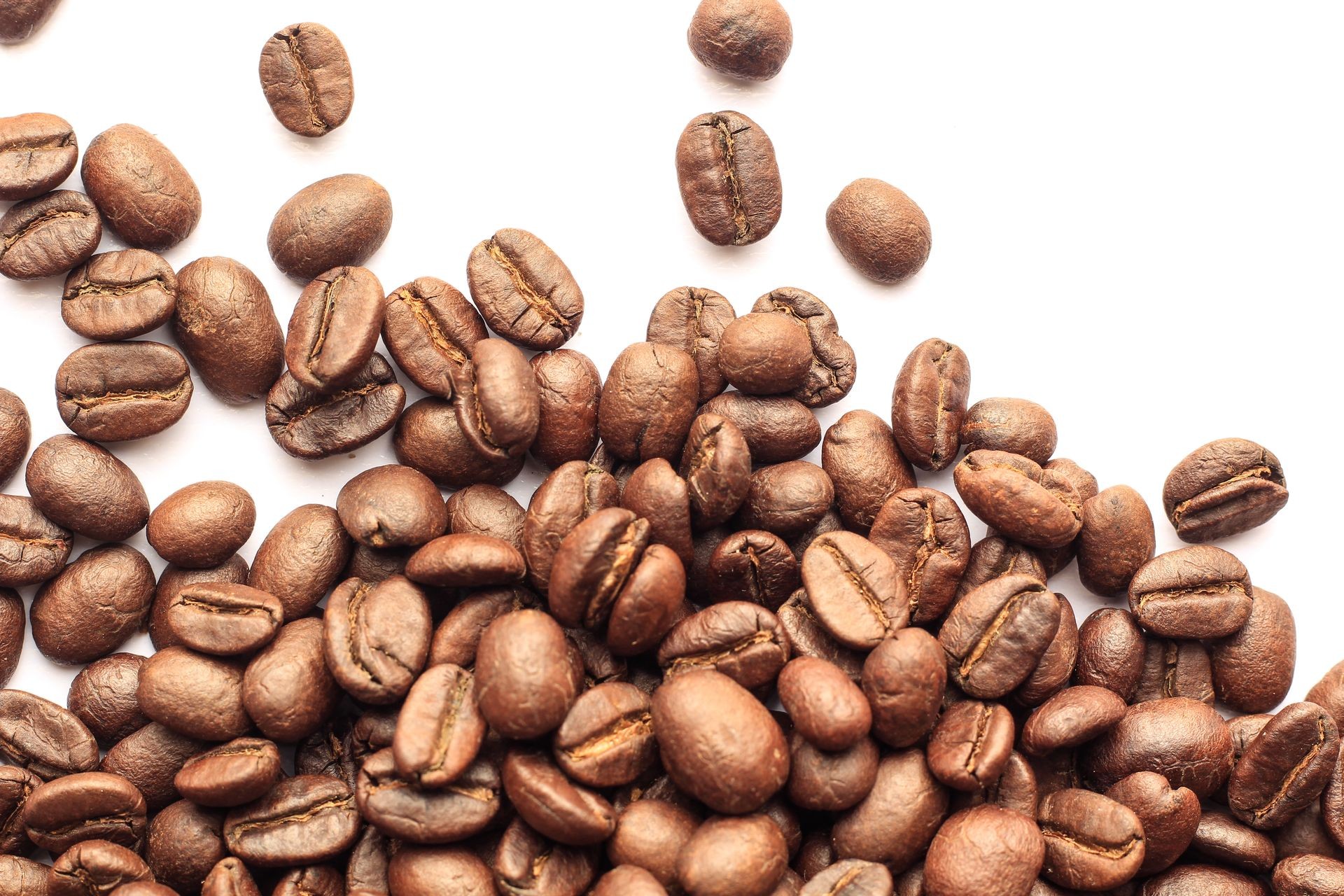 Coffee bean on white background