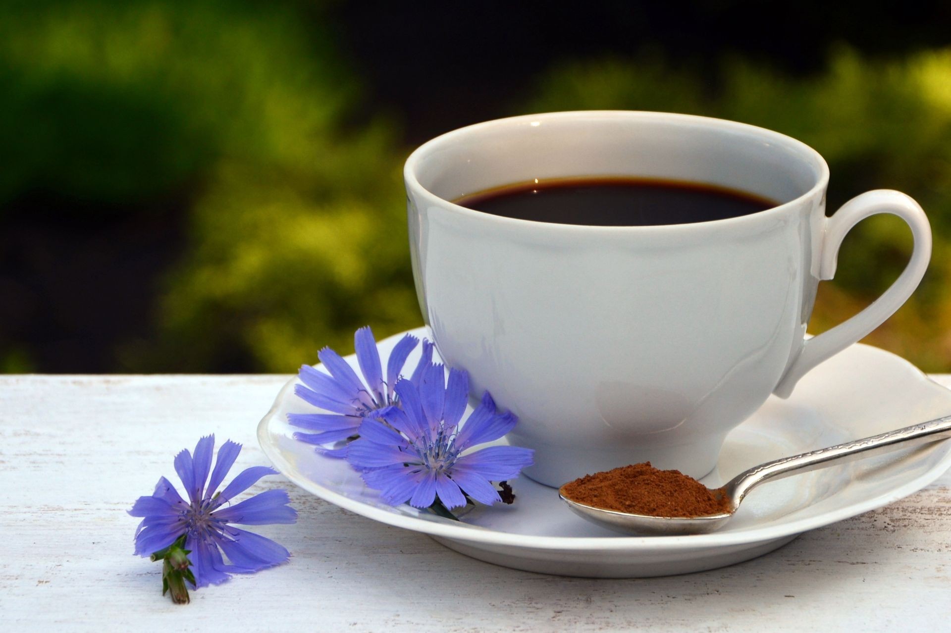 Cup with chicory drink and blue chicory flowers on white wooden table on the background of the garden.